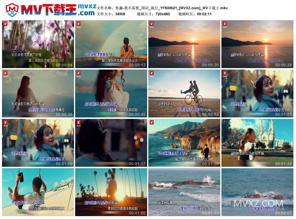 焦鑫-我不需要_国语_流行_YF600621